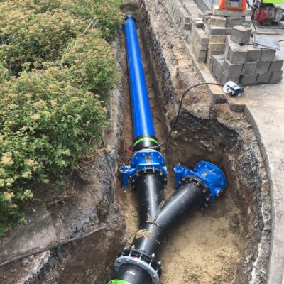 Y Junction Großen Busch 04